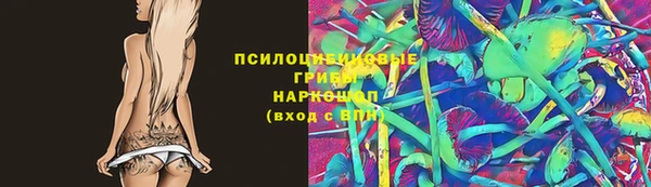 ECSTASY Белокуриха
