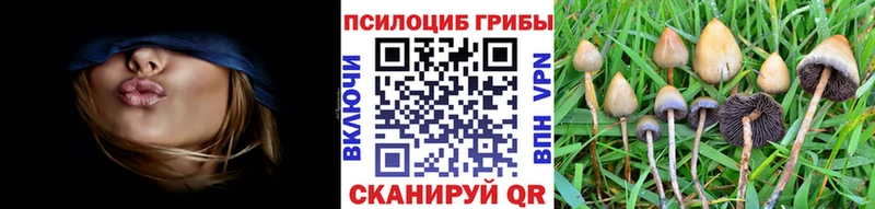 Псилоцибиновые грибы ЛСД mega ONION Маркс продажа наркотиков